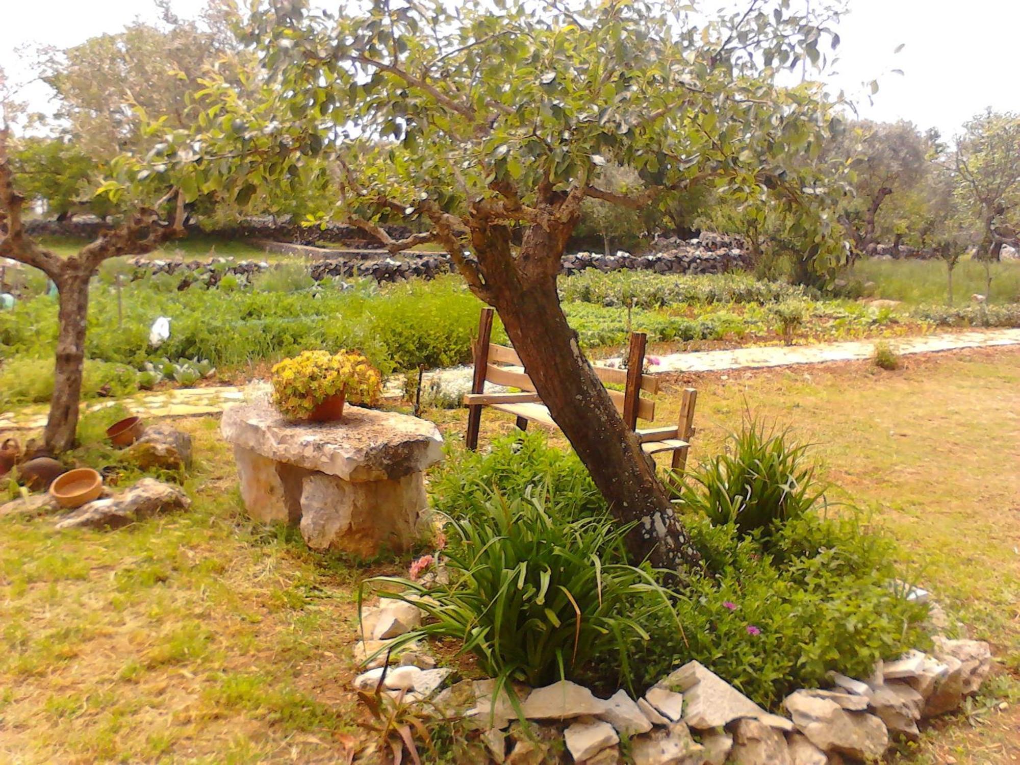 Retiro Da Avo Lidia - Turismo Rural Mendiga Ngoại thất bức ảnh