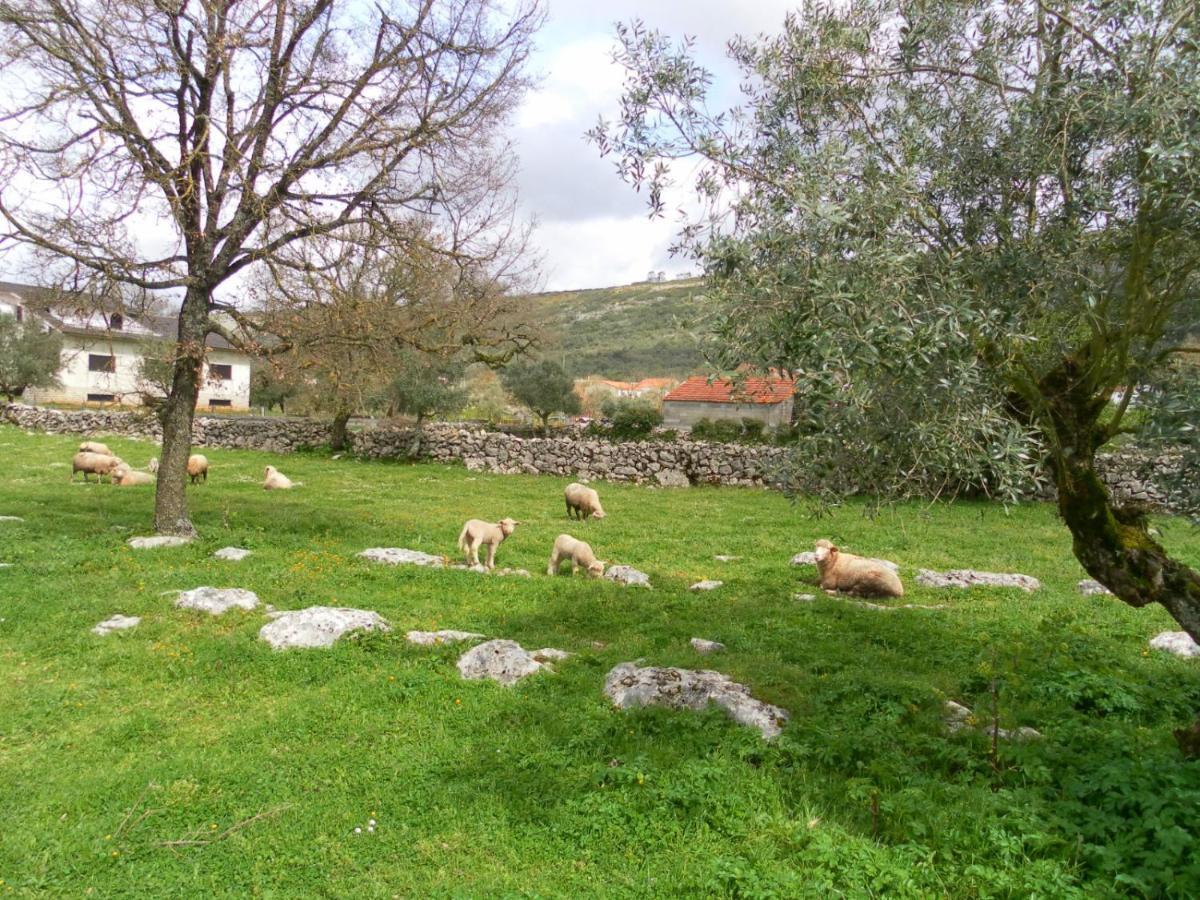 Retiro Da Avo Lidia - Turismo Rural Mendiga Ngoại thất bức ảnh